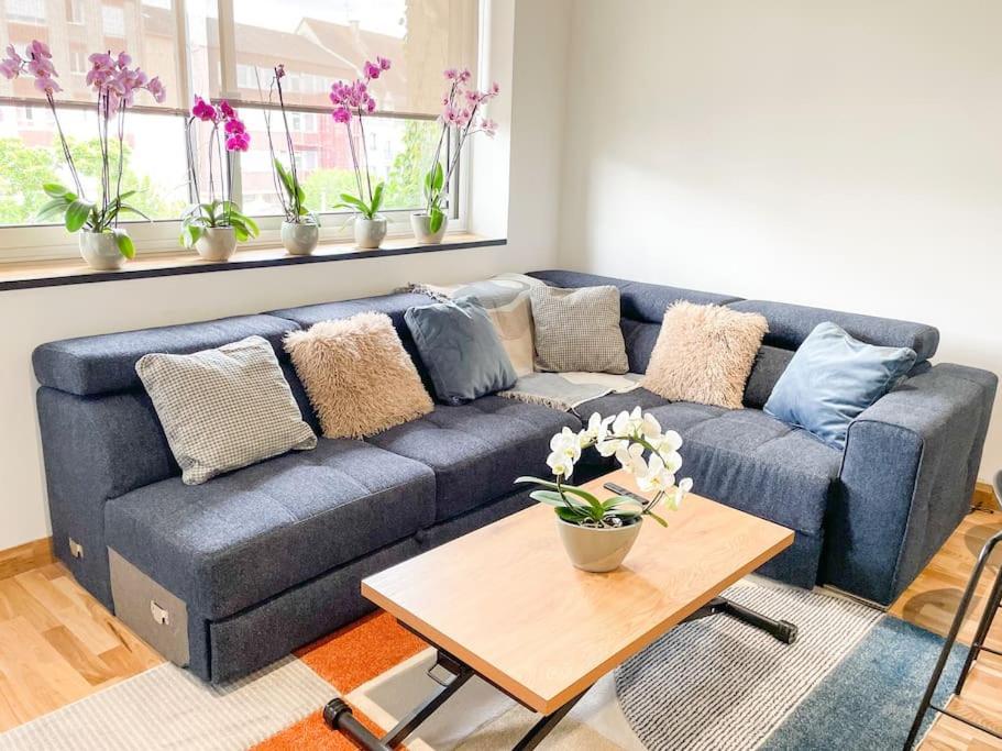 Appartement Cote Jardin - Centre 알랑송 외부 사진