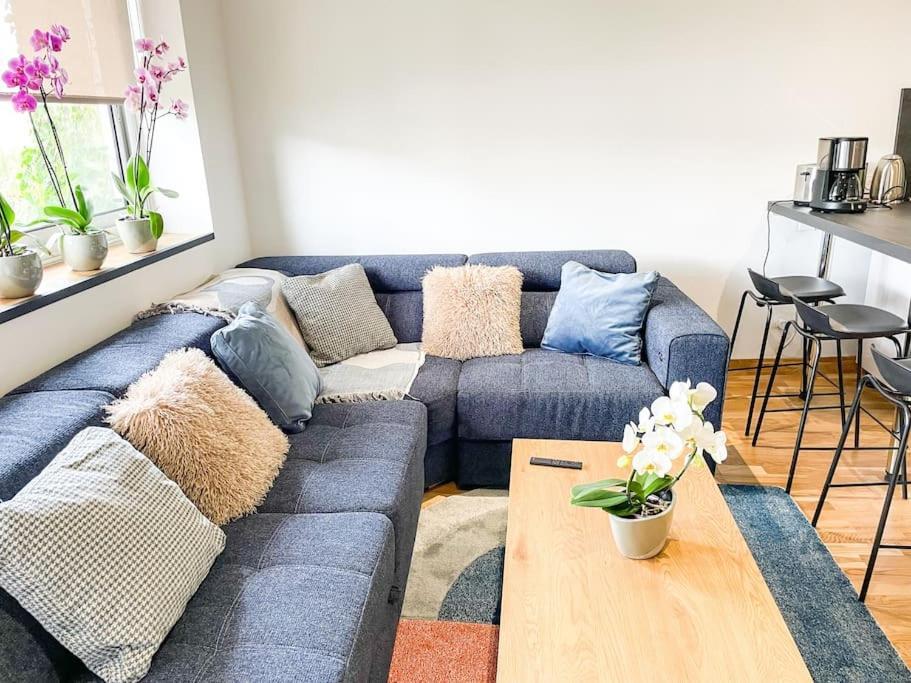 Appartement Cote Jardin - Centre 알랑송 외부 사진